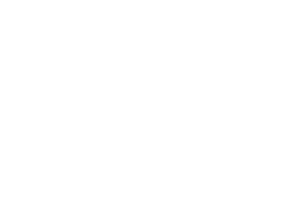Partners in Care